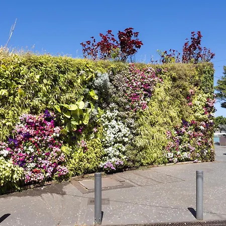 Wanderlust 旅馆 圣克鲁斯-德特内里费