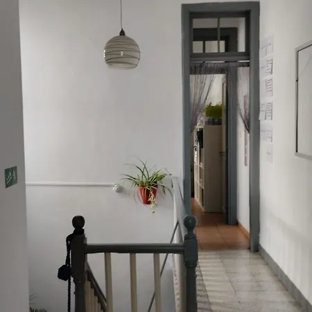 Wanderlust 圣克鲁斯-德特内里费