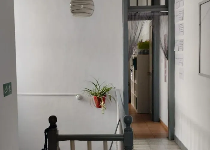 Wanderlust Santa-Cruz de Ténérife